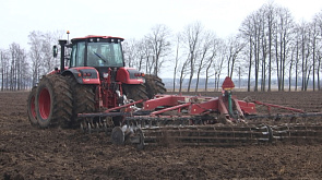 650 тыс.га ранних яровых культур планируют посеять аграрии Беларуси