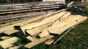 За махинации с древесиной к уголовной ответственности привлечен бывший руководитель Чаусского лесхоза 