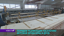Минлесхоз Беларуси предлагает упростить порядок реализации населению деловой древесины и дров 