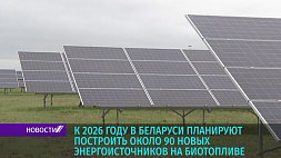 К 2026 году в Беларуси планируют построить около 90 новых энергоисточников на биотопливе