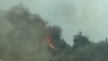 Американские пожарные пытаются потушить крупнейший лесной пожар
