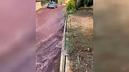 На улицах городка в Португалии разлились винные реки 