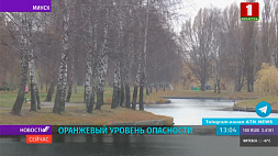 Дождь и мокрый снег ожидает белорусов в начале недели, ночью синоптики прогнозируют заморозки до - 6°С