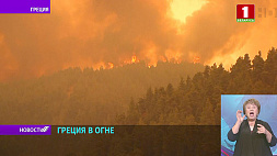 Лесные пожары: во власти огненной стихии Греция и Алжир