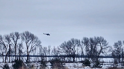 France Info: Ил-76 могли сбить из американского ЗРК Patriot 