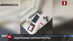В Минске задержаны оптовые наркокурьеры