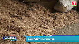Страны Запада всеми силами способствуют вывозу зерна из Украины