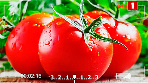 Болезни томатов, выращивание кукурузы - в программе "Дача"
