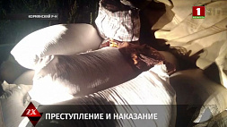 Подростков в Кормянском районе поймали на краже зерна