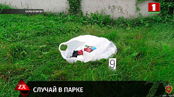 Двое жителей Барановичей подозреваются в убийстве пенсионерки