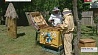 Лесхозы области начали заготавливать товарный мед