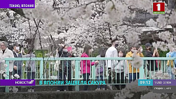В Японии наступил самый красочный сезон - расцвела сакура