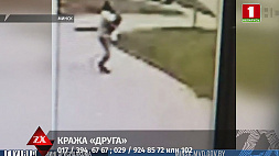 В Минске разыскивают мужчину по подозрению в краже собаки