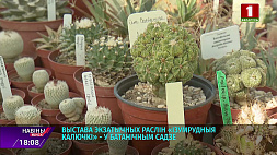 Южная экзотика в фондах Центрального ботанического сада Минска 