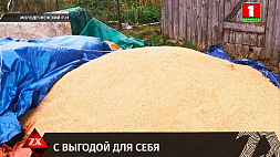 Почти 4 тонны зерна хотел присвоить водитель одного из хозяйств в Молодечненском районе