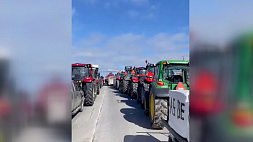 Тракторные манифестации: канадские и испанские фермеры протестуют против экологического законодательства