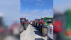 Тракторные манифестации: канадские и испанские фермеры протестуют против экологического законодательства