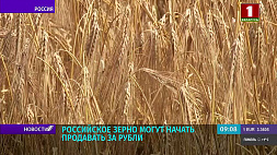 Российское зерно могут начать продавать за рубли