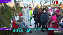 В Борисовском опытном лесхозе работает резиденция Деда Мороза