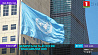 Беларусь принимает участие в 74-й сессии Генассамблеи ООН