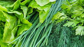 МАРТ прокомментировал цены на овощи и свежую зелень
