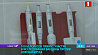 Клинические испытания российской вакцины против COVID-19 в Беларуси начнутся через месяц