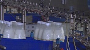 МИД: вопрос сертификации белорусской молочки для Алжира решен