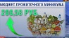 В Беларуси устанавливается новый бюджет прожиточного минимума