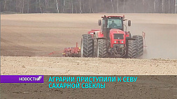 Хозяйства Беларуси активно приступили к севу сахарной свеклы 
