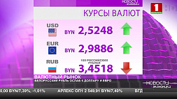 Курсы валют на 6 августа - белорусский рубль ослаб к доллару и евро
