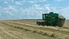 Аграрии центрального региона намолотили 500 тысяч тонн зерна