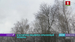 Оранжевый уровень опасности из-за сильного ветра объявлен  в Беларуси на 26 марта 
