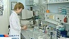 В Беларуси будут производить уникальное лекарство от рака по кубинским технологиям