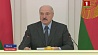 Александр Лукашенко оценил проект совершенствования энергосистемы Беларуси 