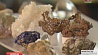 Большая коллекция минералов и горных пород представлена на выставке-ярмарке "Каменная сказка"
